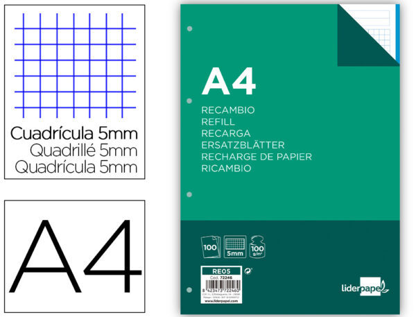 Recambio liderpapel a4 100 hojas 100 g/m2 cuadro 5 mm 4 taladros bandas de 5 colores